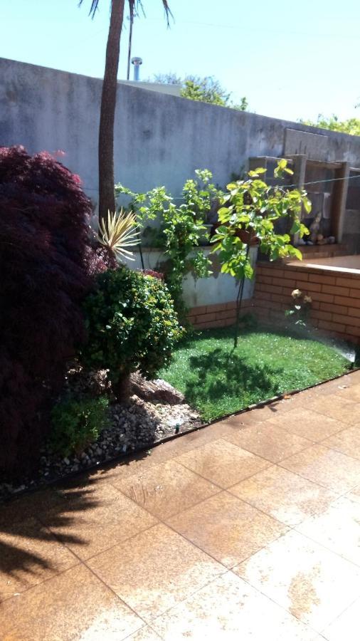 Jovim Com O Douro A Vista Bed & Breakfast エクステリア 写真